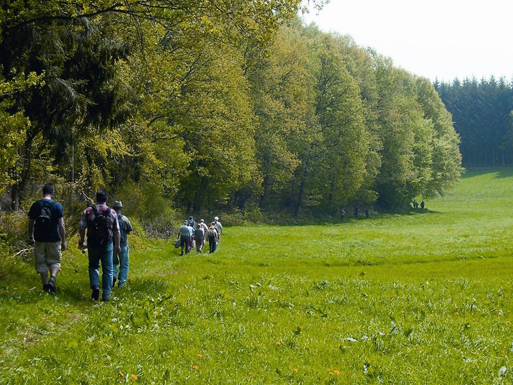 Traunschleifen Wandern Waldsaumweg